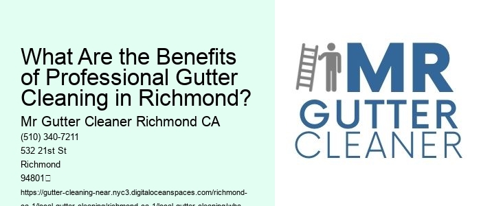 What Are the Benefits of Professional Gutter Cleaning in Richmond?
