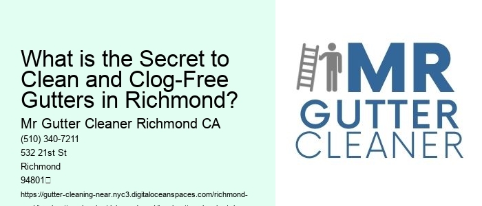 What is the Secret to Clean and Clog-Free Gutters in Richmond? 
