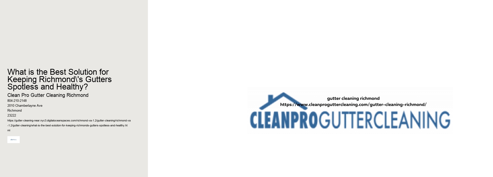 What is the Best Solution for Keeping Richmond's Gutters Spotless and Healthy?