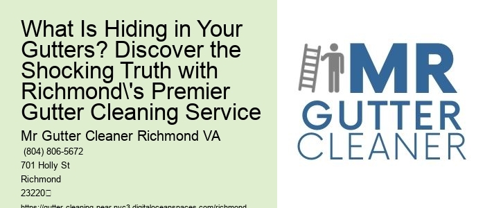 What Is Hiding in Your Gutters? Discover the Shocking Truth with Richmond's Premier Gutter Cleaning Service