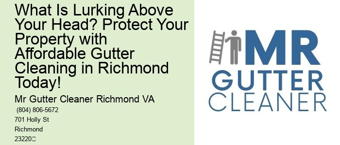 What Is Lurking Above Your Head? Protect Your Property with Affordable Gutter Cleaning in Richmond Today!