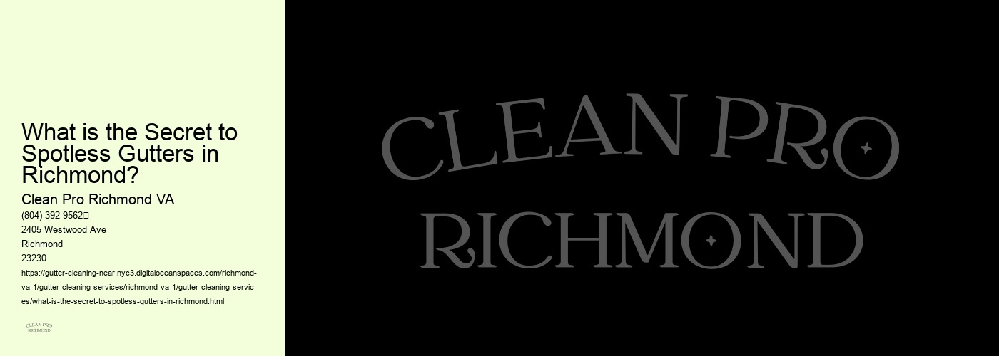 What is the Secret to Spotless Gutters in Richmond? 