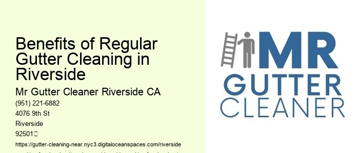 Benefits of Regular Gutter Cleaning in Riverside 