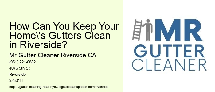 How Can You Keep Your Home's Gutters Clean in Riverside?