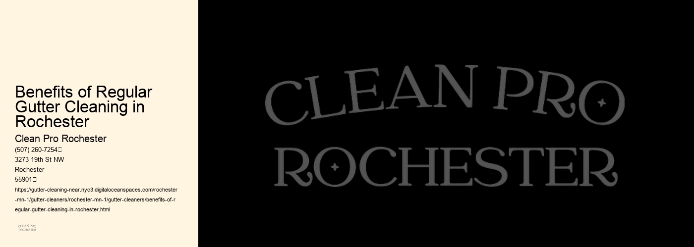 Benefits of Regular Gutter Cleaning in Rochester 