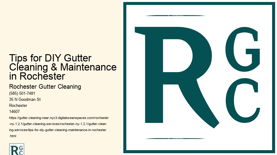 Tips for DIY Gutter Cleaning & Maintenance in Rochester 