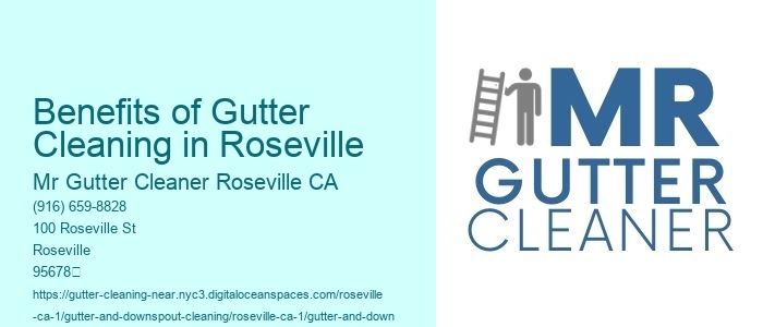 Benefits of Gutter Cleaning in Roseville 