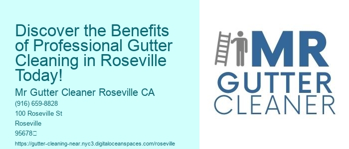Discover the Benefits of Professional Gutter Cleaning in Roseville Today!