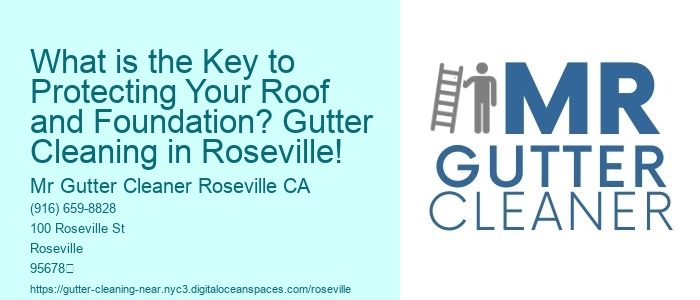 What is the Key to Protecting Your Roof and Foundation? Gutter Cleaning in Roseville!