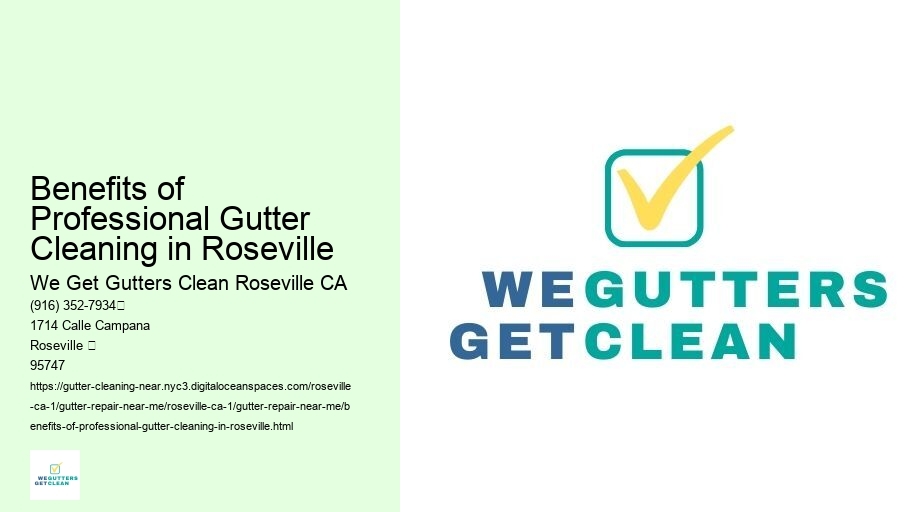 Benefits of Professional Gutter Cleaning in Roseville