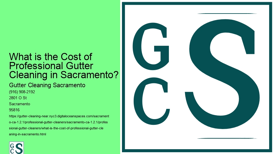 What is the Cost of Professional Gutter Cleaning in Sacramento?