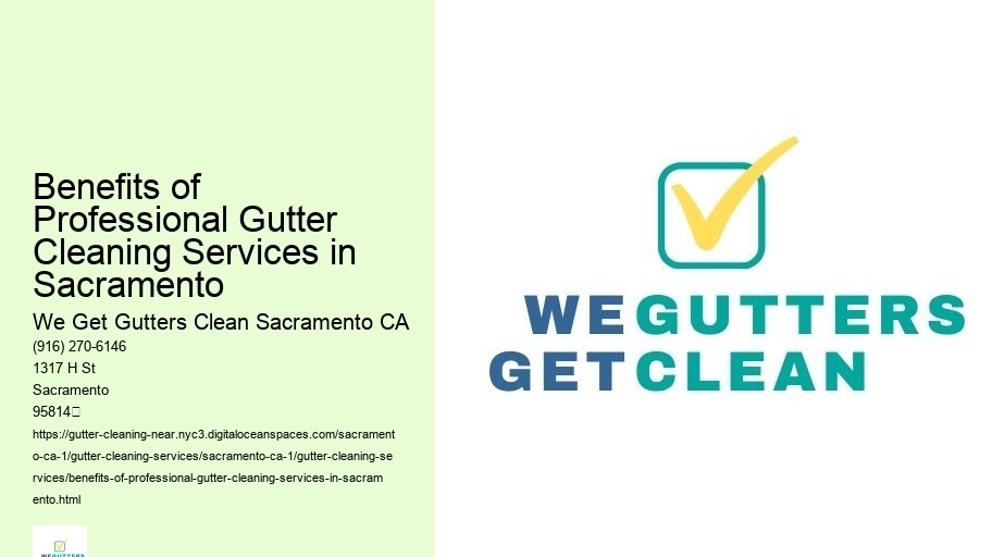 Benefits of Professional Gutter Cleaning Services in Sacramento 