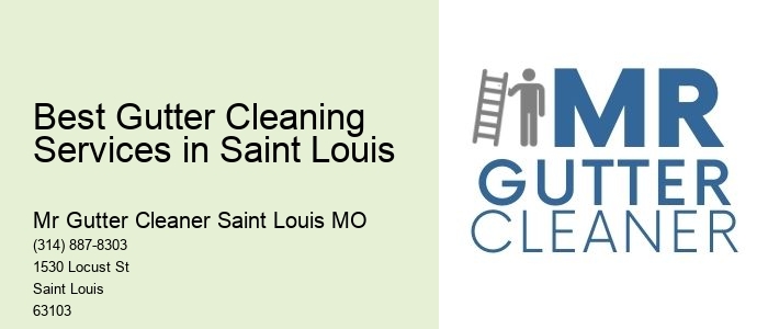 Best Gutter Cleaning Services in Saint Louis 