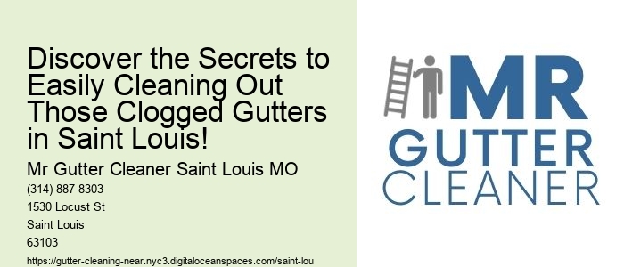 Discover the Secrets to Easily Cleaning Out Those Clogged Gutters in Saint Louis!