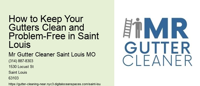 How to Keep Your Gutters Clean and Problem-Free in Saint Louis 