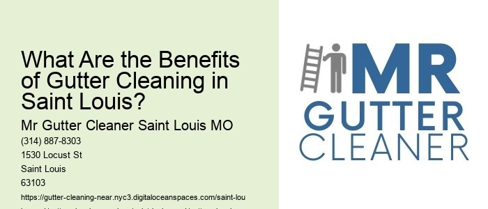What Are the Benefits of Gutter Cleaning in Saint Louis?