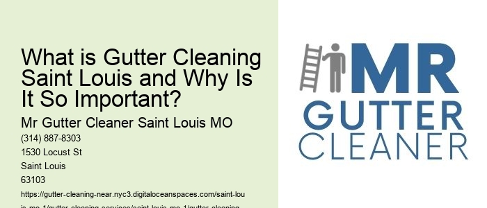 What is Gutter Cleaning Saint Louis and Why Is It So Important?