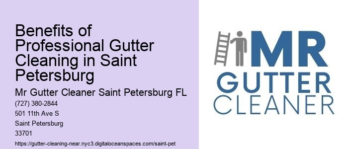 Benefits of Professional Gutter Cleaning in Saint Petersburg 
