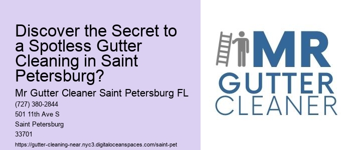 Discover the Secret to a Spotless Gutter Cleaning in Saint Petersburg?