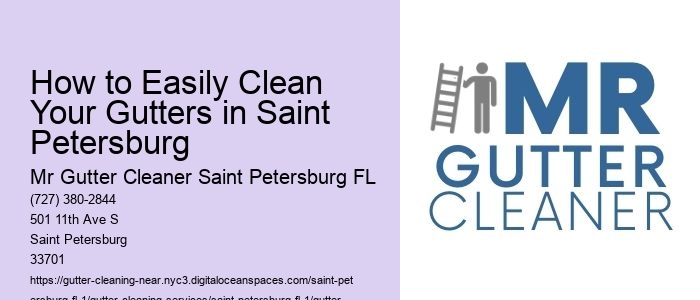 How to Easily Clean Your Gutters in Saint Petersburg 