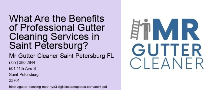What Are the Benefits of Professional Gutter Cleaning Services in Saint Petersburg?