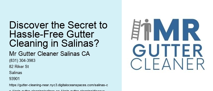 Discover the Secret to Hassle-Free Gutter Cleaning in Salinas?