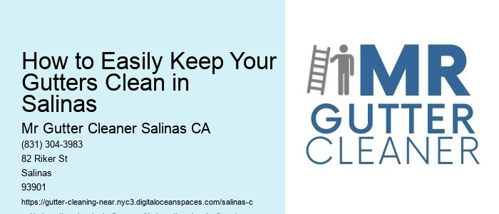 How to Easily Keep Your Gutters Clean in Salinas