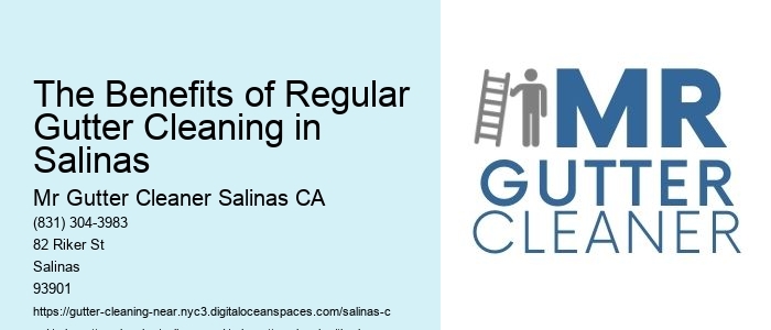 The Benefits of Regular Gutter Cleaning in Salinas 