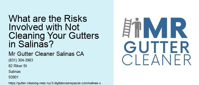 What are the Risks Involved with Not Cleaning Your Gutters in Salinas?