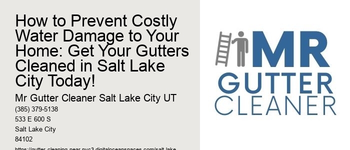 How to Prevent Costly Water Damage to Your Home: Get Your Gutters Cleaned in Salt Lake City Today!