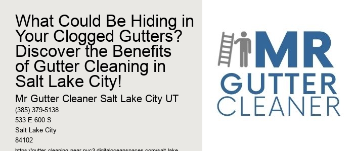 What Could Be Hiding in Your Clogged Gutters? Discover the Benefits of Gutter Cleaning in Salt Lake City!