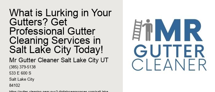What is Lurking in Your Gutters? Get Professional Gutter Cleaning Services in Salt Lake City Today!