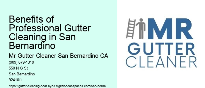 Benefits of Professional Gutter Cleaning in San Bernardino 