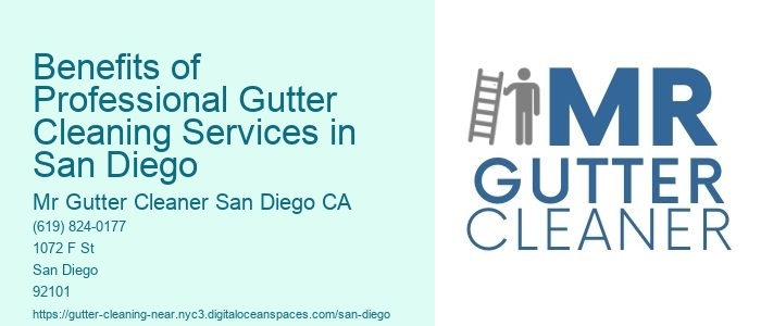 Benefits of Professional Gutter Cleaning Services in San Diego 