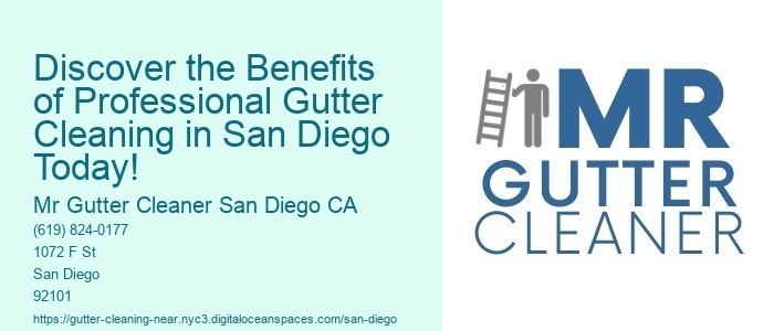 Discover the Benefits of Professional Gutter Cleaning in San Diego Today!