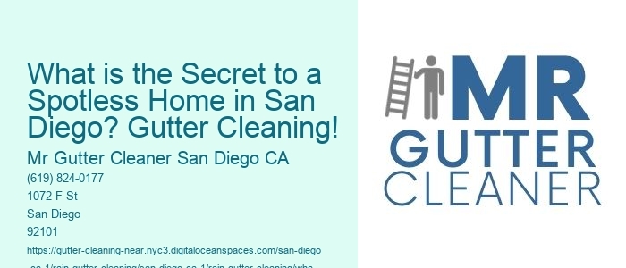 What is the Secret to a Spotless Home in San Diego? Gutter Cleaning!