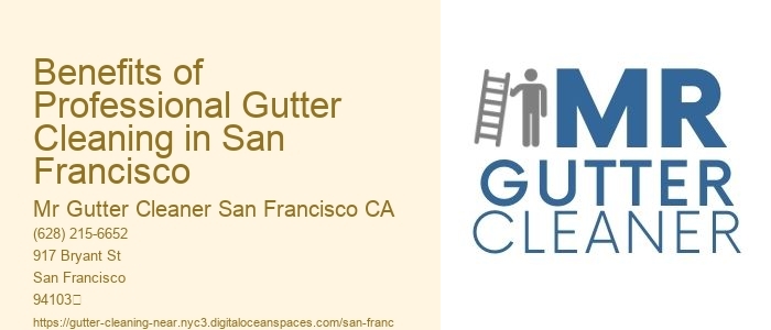 Benefits of Professional Gutter Cleaning in San Francisco 