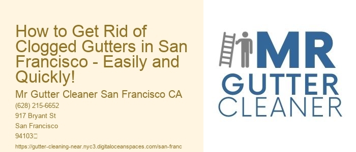 How to Get Rid of Clogged Gutters in San Francisco - Easily and Quickly!