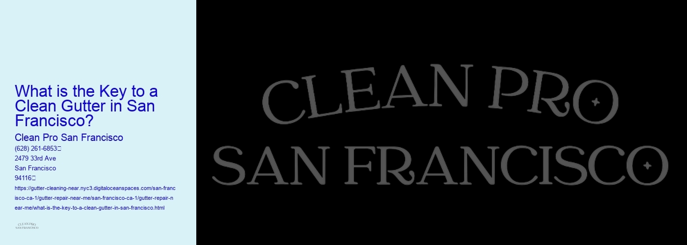 What is the Key to a Clean Gutter in San Francisco?
