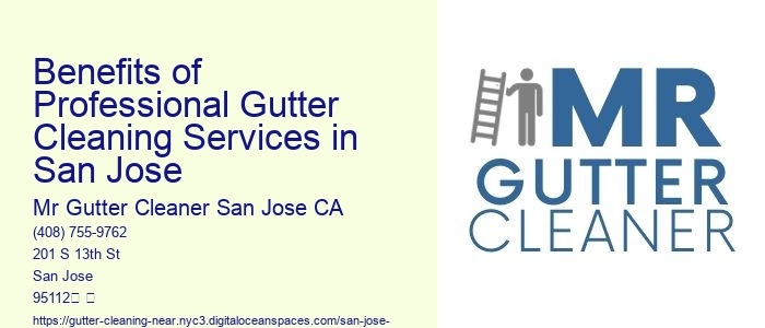 Benefits of Professional Gutter Cleaning Services in San Jose 