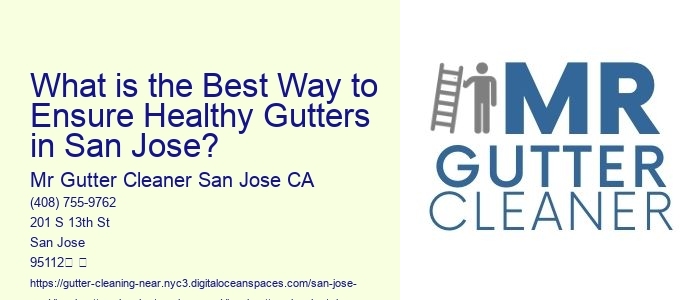 What is the Best Way to Ensure Healthy Gutters in San Jose?