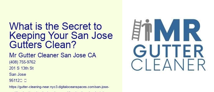 What is the Secret to Keeping Your San Jose Gutters Clean?