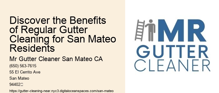 Discover the Benefits of Regular Gutter Cleaning for San Mateo Residents