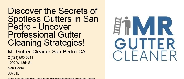 Discover the Secrets of Spotless Gutters in San Pedro - Uncover Professional Gutter Cleaning Strategies!