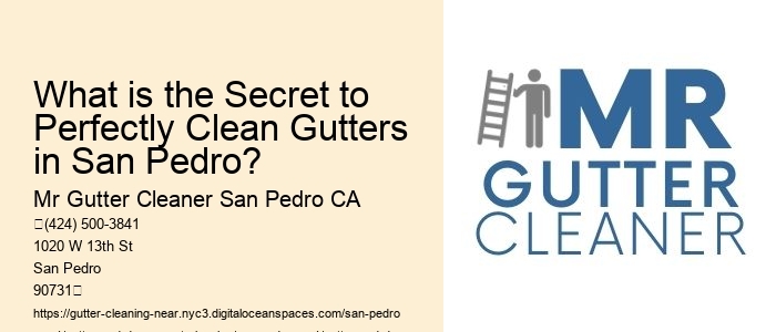 What is the Secret to Perfectly Clean Gutters in San Pedro?