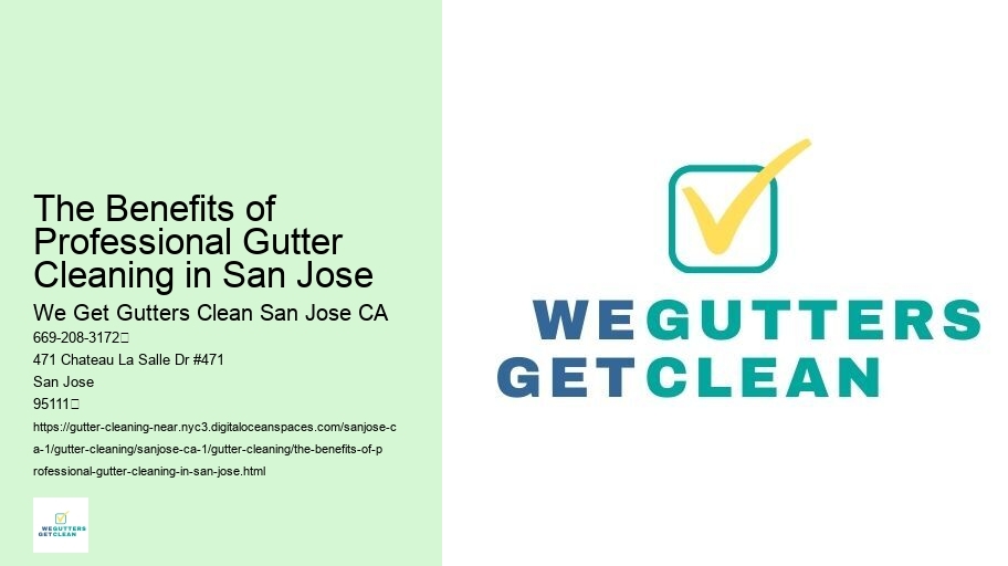 The Benefits of Professional Gutter Cleaning in San Jose 