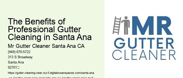 The Benefits of Professional Gutter Cleaning in Santa Ana 