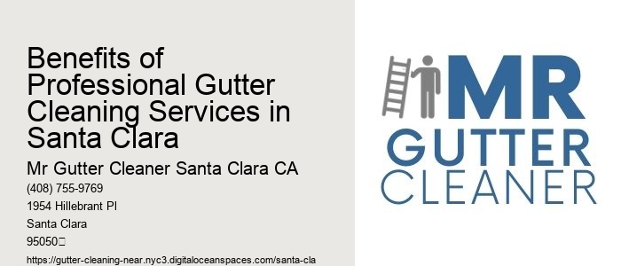 Benefits of Professional Gutter Cleaning Services in Santa Clara 