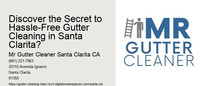 Discover the Secret to Hassle-Free Gutter Cleaning in Santa Clarita?