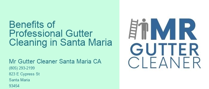 Benefits of Professional Gutter Cleaning in Santa Maria 